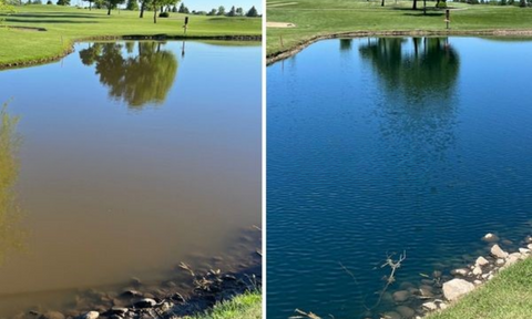 ✨ From Green to Clean Overnight! |⏱️ Crystal Clear in 24 Hours! | Aqua-Guardian Pro Formula